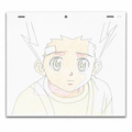 Original Anime Szene aus Japan 🇯🇵 | Gon aus Hunter x Hunter | Detailierte Nahaufnahme ultra ultra selten 🔥