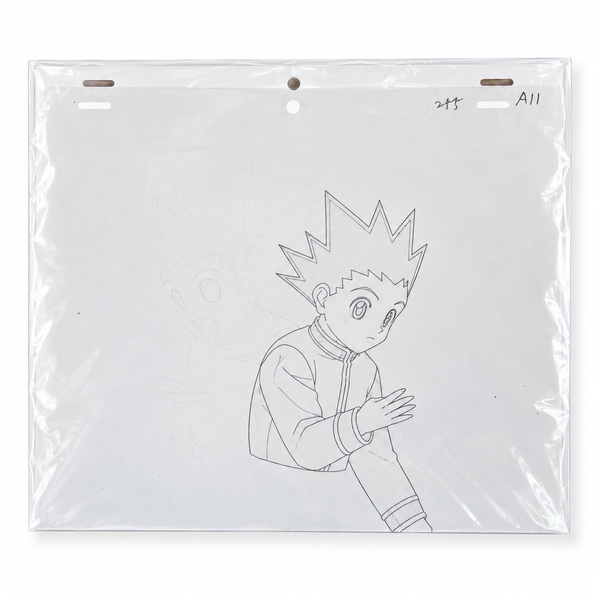 Originale Anime Szene 🎬 aus Hunter x Hunter | Gon | Aus Japan 🇯🇵